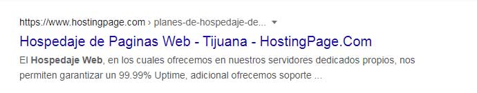 SERP-tipo-sitio-web